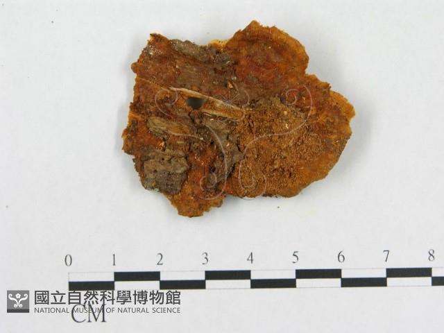 登錄號:F0005934藏品圖，第1張