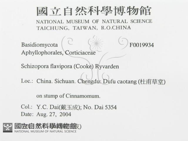館號:F0019934藏品圖，第3張