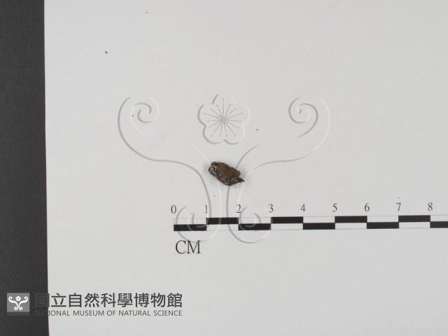 登錄號:F0018634藏品圖，第1張