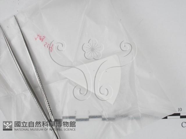 登錄號:F0020634藏品圖，第1張