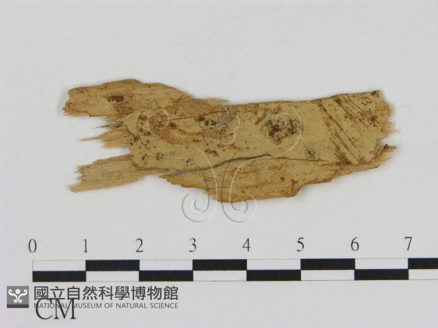 登錄號:F0016634藏品圖，第1張