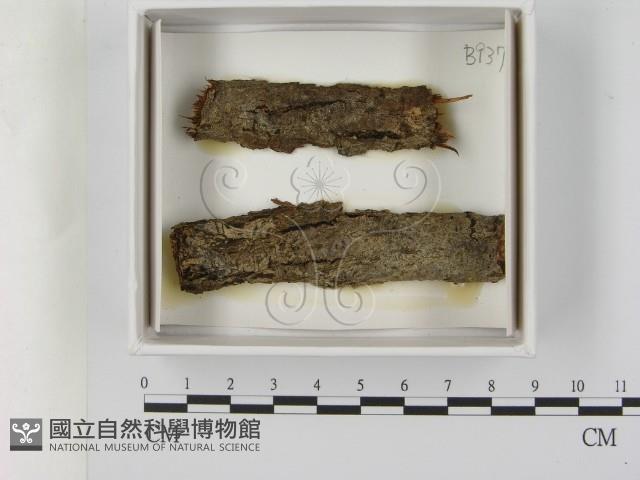 登錄號:F0021634藏品圖，第1張