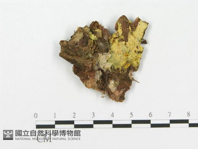 登錄號:F0004634藏品圖，第1張