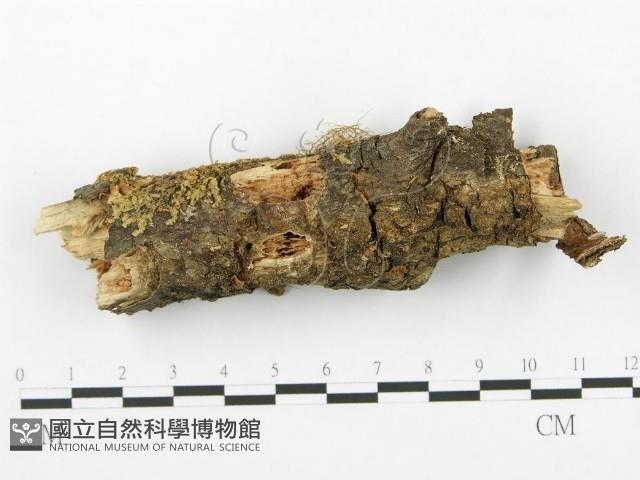 登錄號:F0001434藏品圖，第1張