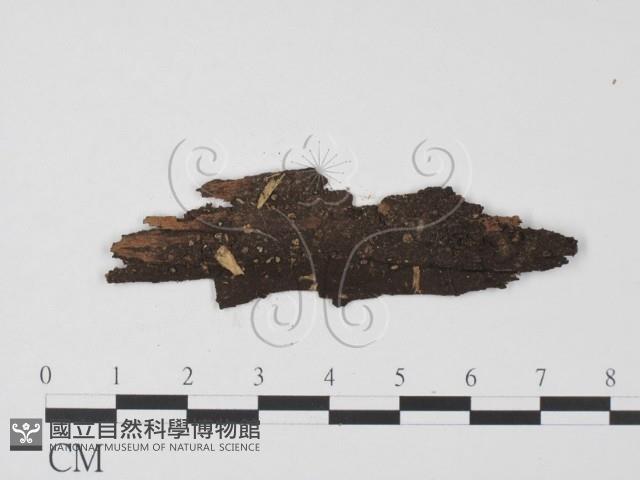 登錄號:F0011434藏品圖，第1張