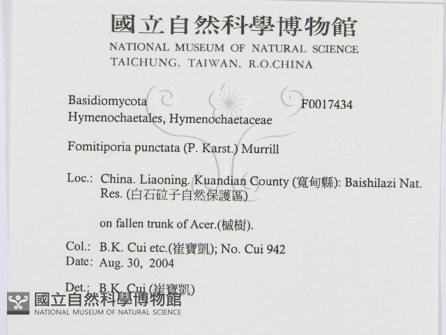 登錄號:F0017434藏品圖，第3張