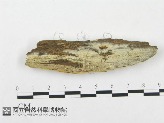 登錄號:F0016734藏品圖，第1張