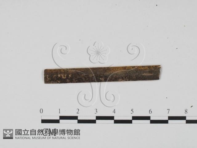 登錄號:F0011734藏品圖，第1張