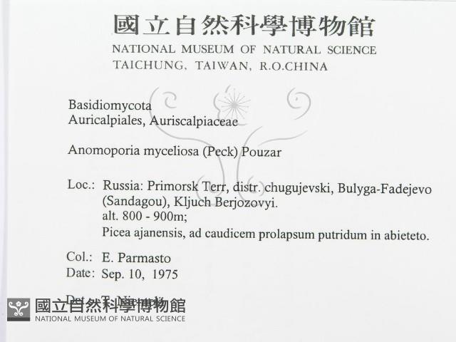 登錄號:F0015734藏品圖，第3張