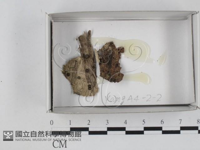 登錄號:F0018534藏品圖，第1張