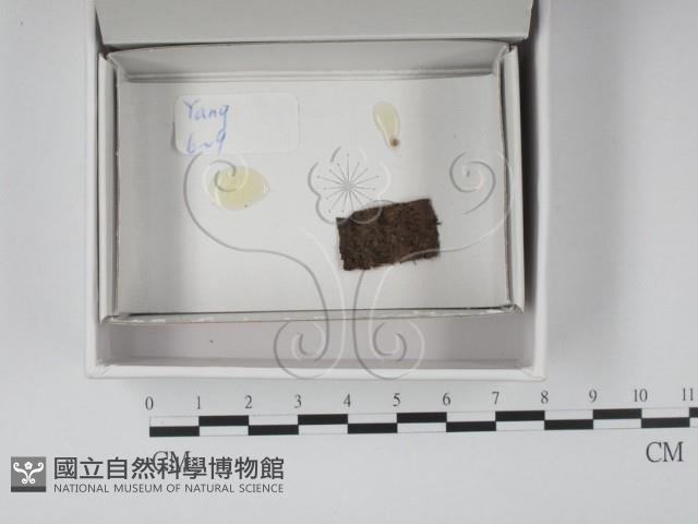 登錄號:F0020534藏品圖，第1張