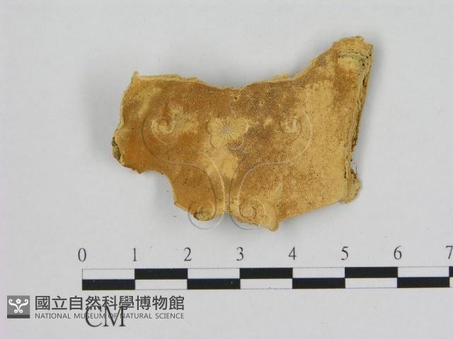 登錄號:F0006534藏品圖，第1張