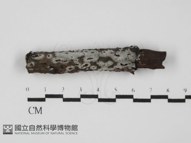 登錄號:F0031534藏品圖，第1張