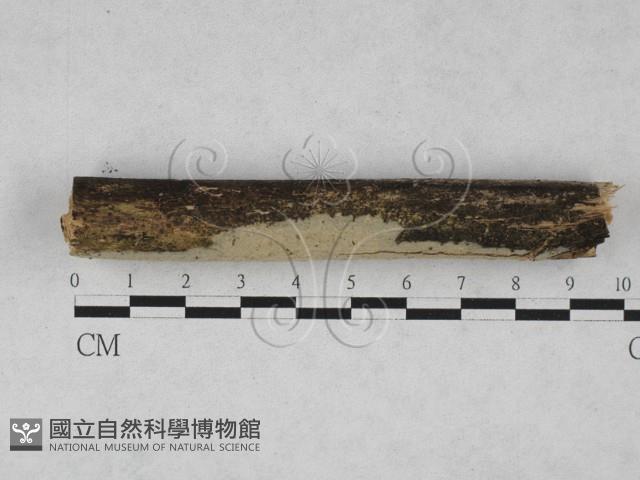 登錄號:F0028134藏品圖，第1張