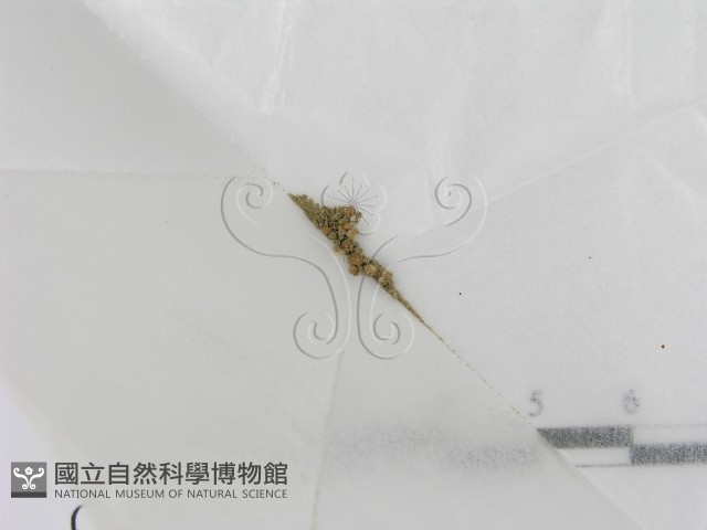 登錄號:F0024134藏品圖，第1張