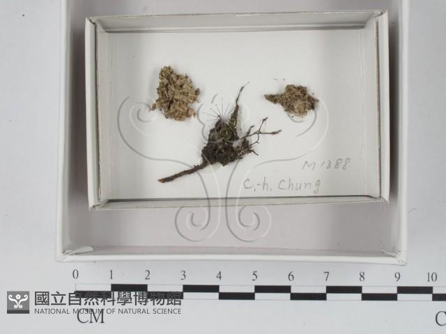 登錄號:F0018034藏品圖，第1張