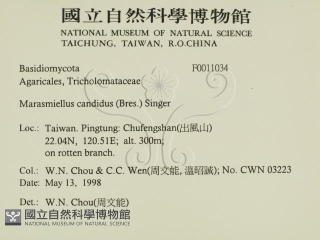 登錄號:F0011034藏品圖，第3張