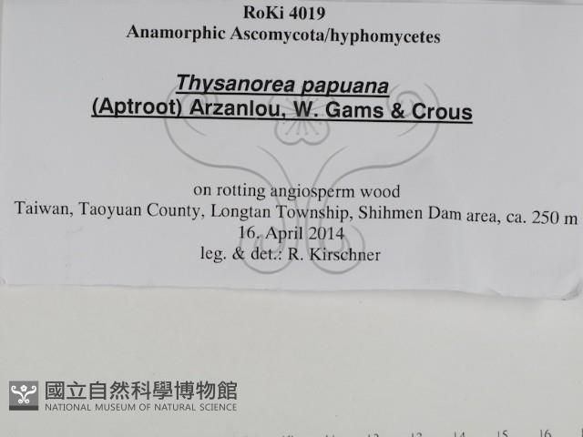 登錄號:F0031034藏品圖，第3張