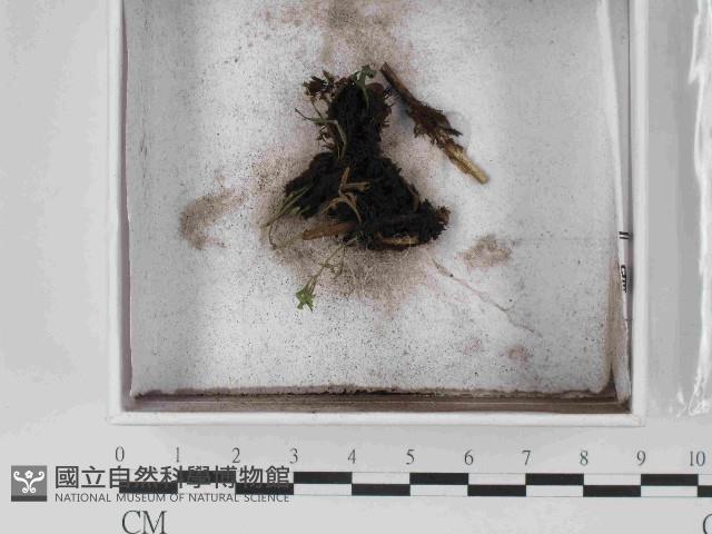 登錄號:F0024034藏品圖，第1張