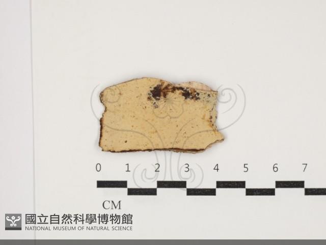 登錄號:F0034034藏品圖，第1張