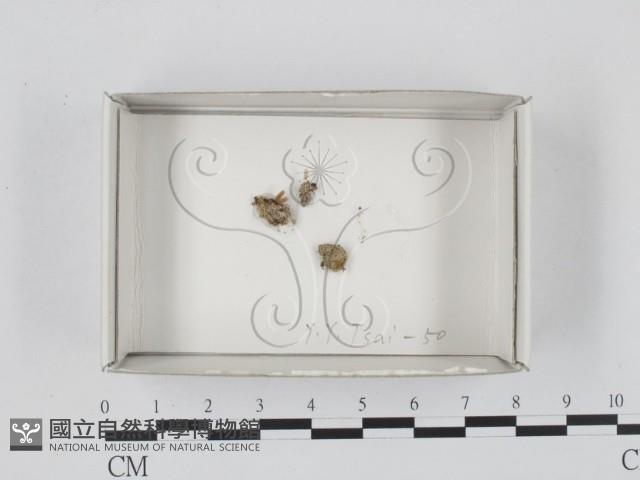 登錄號:F0018334藏品圖，第1張