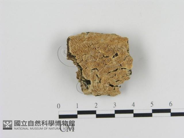 登錄號:F0010334藏品圖，第1張