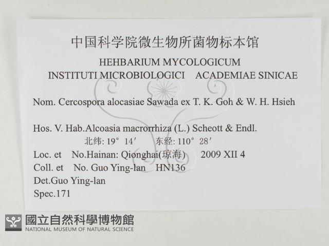 登錄號:F0026334藏品圖，第3張
