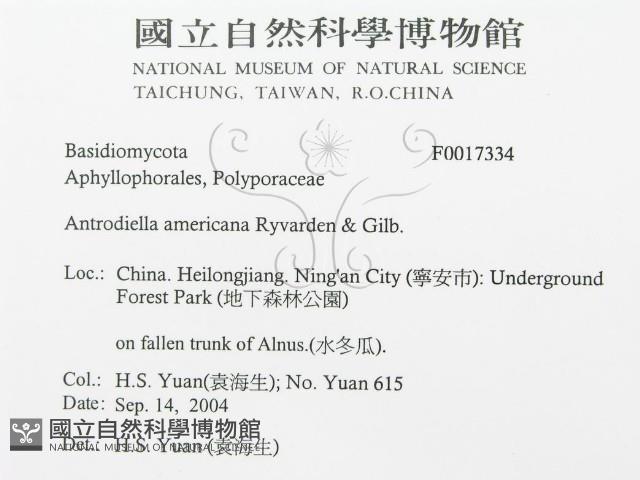登錄號:F0017334藏品圖，第3張