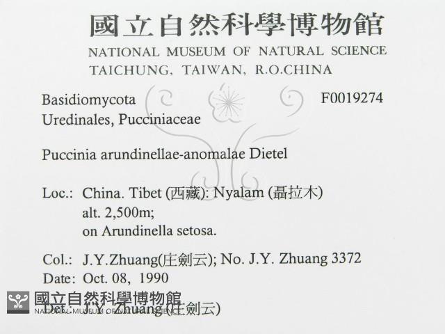 登錄號:F0019274藏品圖，第3張