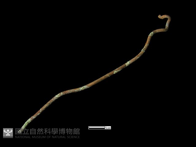 髮簪藏品圖，第1張