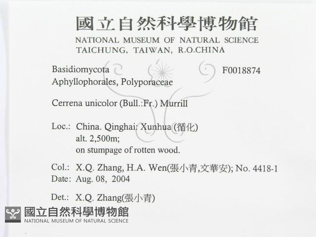 登錄號:F0018874藏品圖，第3張