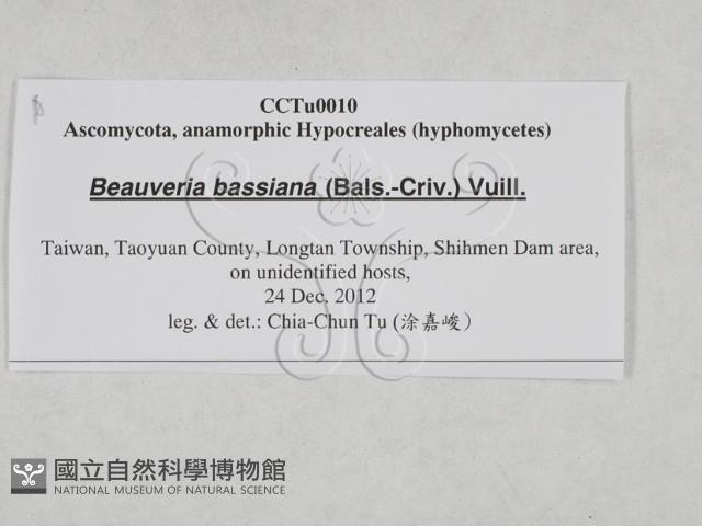 登錄號:F0027874藏品圖，第3張