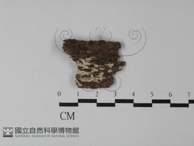 登錄號:F0029874藏品圖，第1張