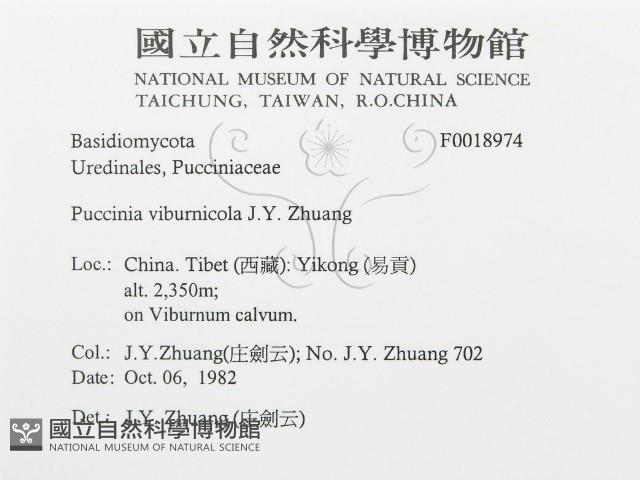 登錄號:F0018974藏品圖，第3張