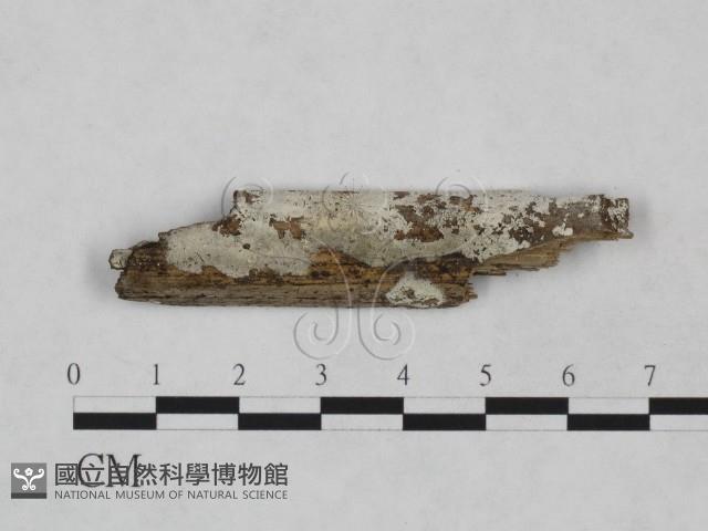 登錄號:F0024974藏品圖，第1張