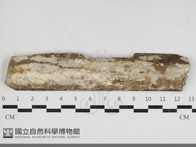 登錄號:F0033974藏品圖，第1張