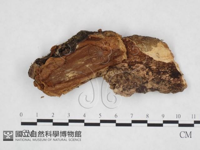 登錄號:F0024674藏品圖，第1張