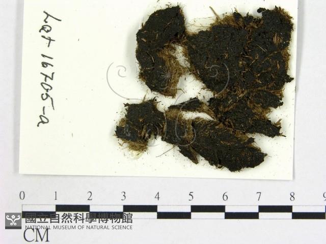 登錄號:F0004674藏品圖，第1張