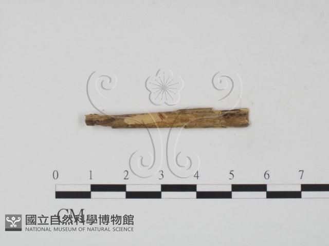 登錄號:F0007674藏品圖，第1張