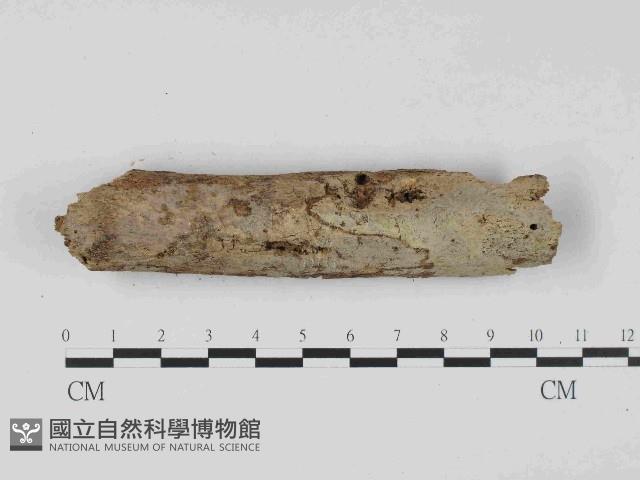 登錄號:F0023674藏品圖，第1張