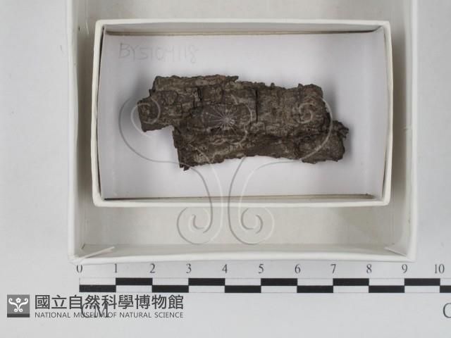 登錄號:F0018474藏品圖，第1張