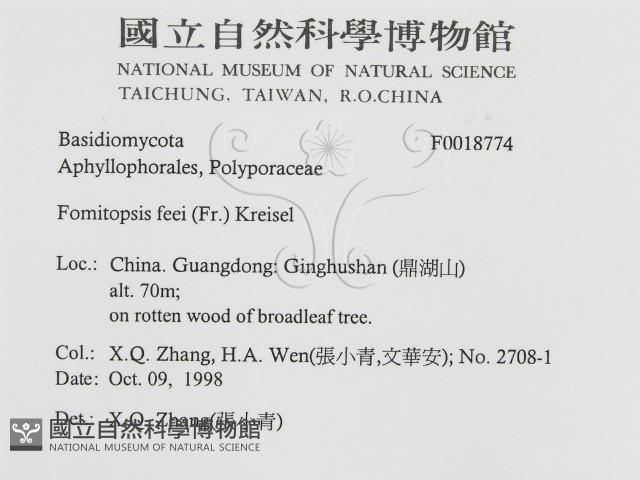登錄號:F0018774藏品圖，第3張