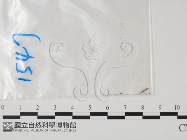 登錄號:F0011774藏品圖，第1張