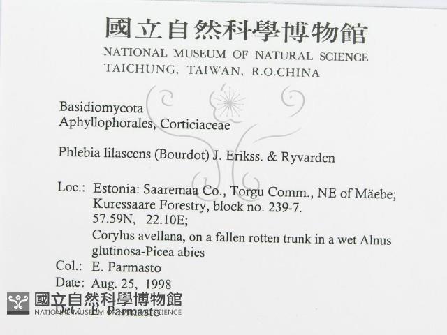 登錄號:F0015774藏品圖，第3張