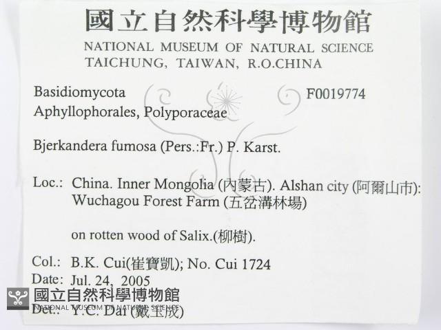 登錄號:F0019774藏品圖，第3張