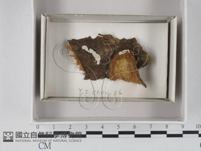登錄號:F0020574藏品圖，第1張