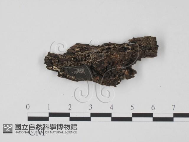 登錄號:F0020174藏品圖，第1張