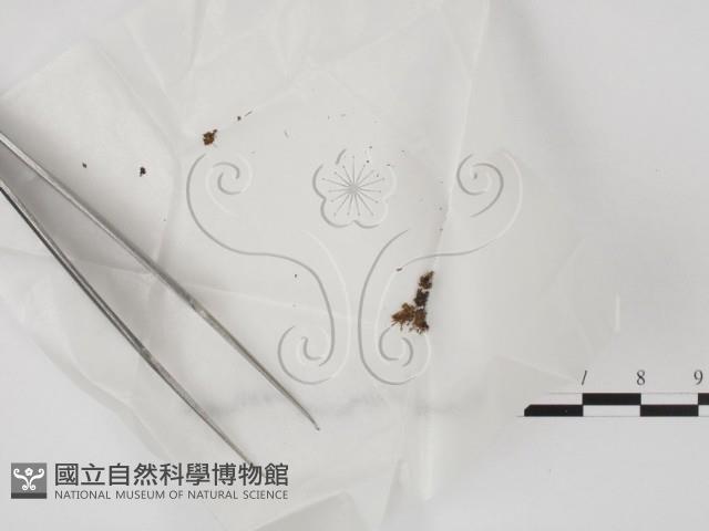 登錄號:F0000174藏品圖，第1張