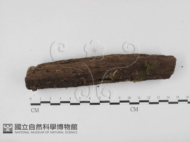 登錄號:F0010174藏品圖，第1張