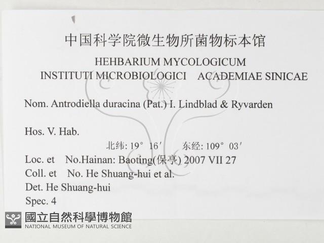 登錄號:F0026174藏品圖，第3張